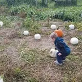Mr. Pepper's Pumpkin Patch photo