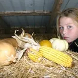 Mr. Pepper's Pumpkin Patch photo
