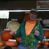 Mr. Pepper's Pumpkin Patch photo