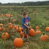 Mr. Pepper's Pumpkin Patch photo