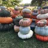 Hurley Farms photo