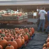 Hurley Farms photo