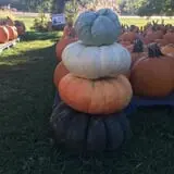 Hurley Farms photo