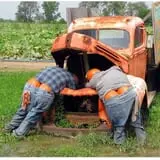 Hurley Farms photo