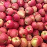 Hurley Farms photo