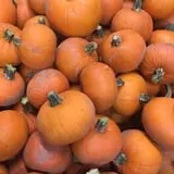 Hurley Farms photo