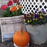 Hurley Farms photo