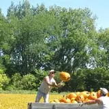 Hurley Farms photo