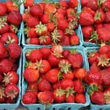 Hurley Farms photo