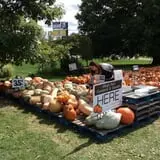 Hurley Farms photo