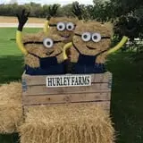 Hurley Farms photo