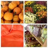 Hurley Farms photo