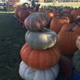Hurley Farms photo