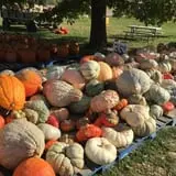 Hurley Farms photo