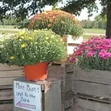 Hurley Farms photo