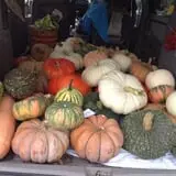 Hurley Farms photo
