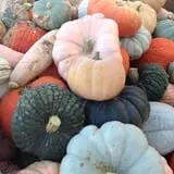 Hurley Farms photo