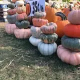 Hurley Farms photo
