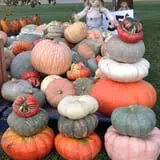 Hurley Farms photo