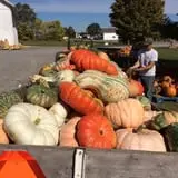 Hurley Farms photo