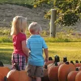 Hurley Farms photo
