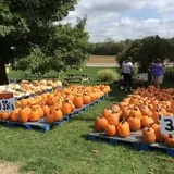 Hurley Farms photo