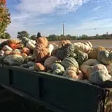 Hurley Farms photo