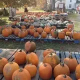 Hurley Farms photo