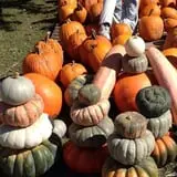 Hurley Farms photo