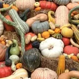 Hurley Farms photo