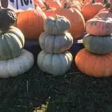Hurley Farms photo