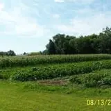 Johnson's Nursery and Garden photo
