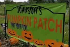 Johnson's Nursery and Garden