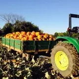 Basse's Taste of Country photo