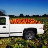 Basse's Taste of Country photo