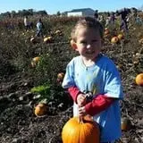 Basse's Taste of Country photo