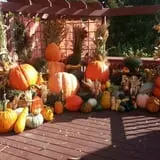 Basse's Taste of Country photo