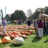 Basse's Taste of Country photo