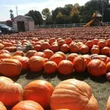 Basse's Taste of Country photo