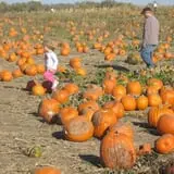 Basse's Taste of Country photo