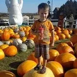 Basse's Taste of Country photo