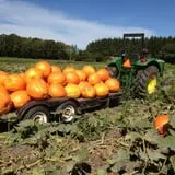 Basse's Taste of Country photo