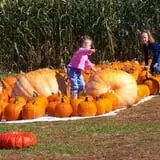 Basse's Taste of Country photo