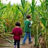 Basse's Taste of Country photo