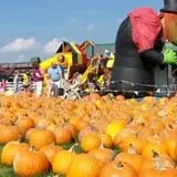 Basse's Taste of Country photo