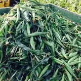 Basse's Taste of Country photo