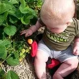 Basse's Taste of Country photo