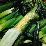 Basse's Taste of Country photo