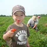 Basse's Taste of Country photo