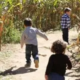 Basse's Taste of Country photo